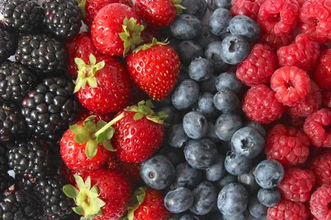 Background from a set of different berries. Stockfoto's