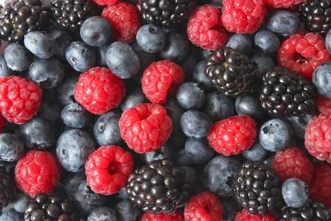 Background from a set of different berries. Stock-Fotos