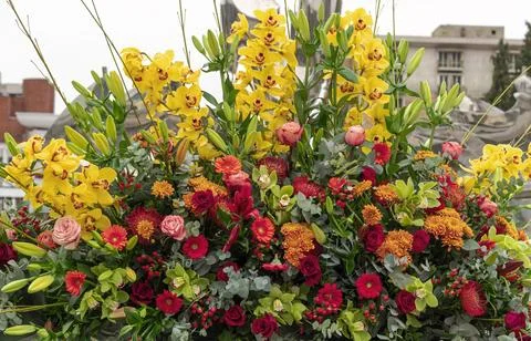 A background with several varieties of spring flowers Stock Photos