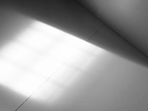 Background Shadow Abstract Leave Overlay Wall Floor Light Effect White 写真素材