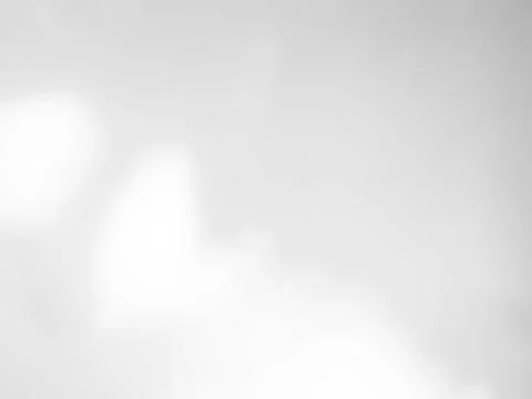 Background Shadow Abstract Leave Overlay Wall Floor Light Effect White 写真素材