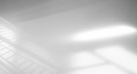 Background shadow abstract leave overlay wall floor light effect white Фото