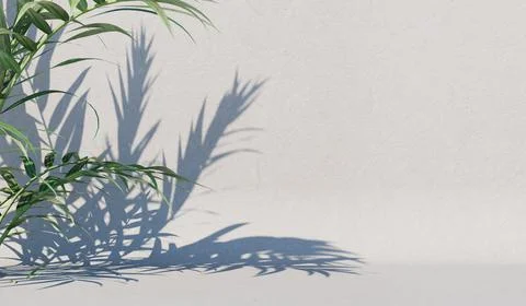 Background with a shadow from a bush on the wall. Cover, postcard. 3D renderi Stock Illustration