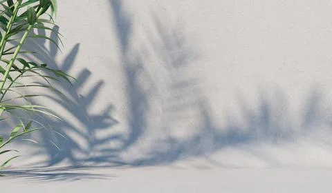 Background with a shadow from a bush on the wall. Cover, postcard. 3D renderi Stock Illustration