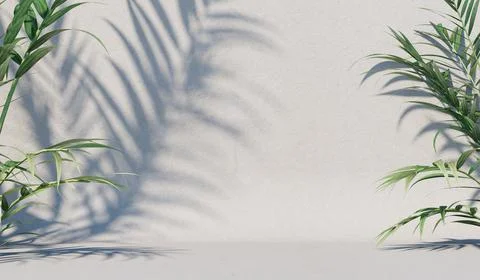 Background with a shadow from a bush on the wall. Cover, postcard. 3D renderi Stock Illustration