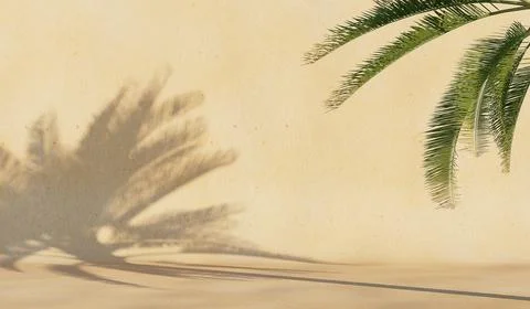 Background with a shadow from a palm tree on the wall.Cover, postcard. 3D ren Stock Illustration
