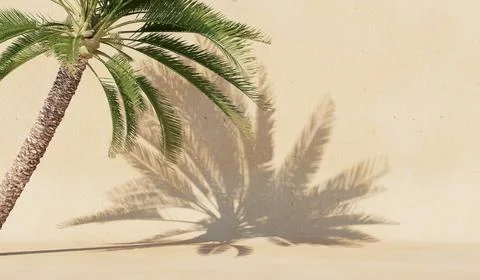 Background with a shadow from a palm tree on the wall.Cover, postcard. 3D ren Stock Illustration