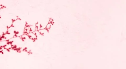Background shadow pink premium gradation beige texture blur gradient Stock Photos