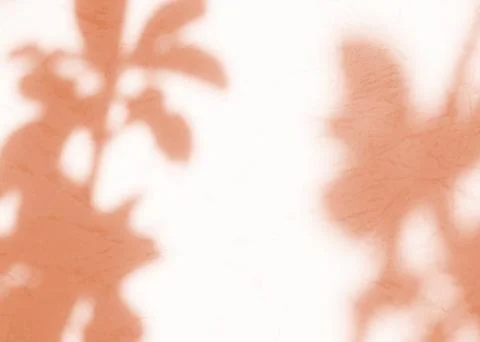 Background shadow pink premium gradation beige texture blur gradient Stock Photos
