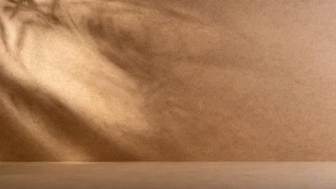 Background with shadow of plants. The shadow of the palm tree from the sun on Stock Photos