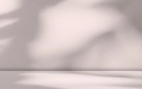 Background Shadow Studio Autumn Beige Plant Overlay Podium 3d White Stock Illustration