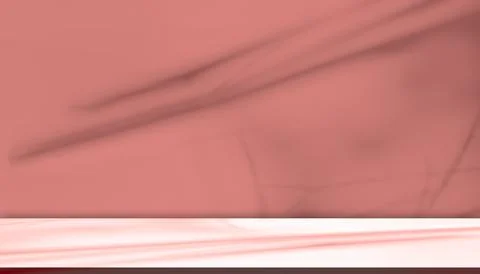 Background Shadow Studio Autumn Beige Plant Overlay Podium 3d White Stock Illustration