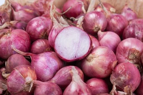 Background of shallots shoot in studio. Stock Photos