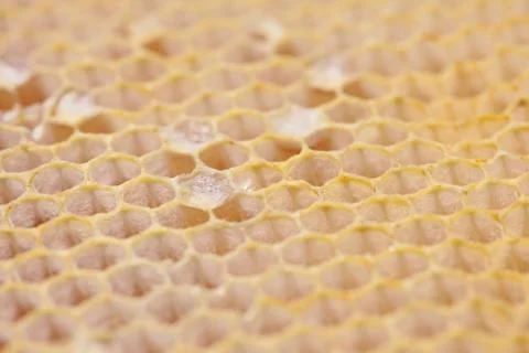 The background in the shape of a honey comb Stock Photos