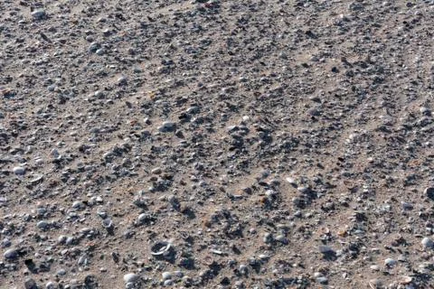 Background with shell and pebble at wet yellow sand of beach 스톡 사진