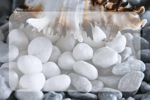 Background with a shell edge, small pebbles Stock Photos