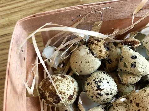 Background - the shell of quail eggs. Stock Photos