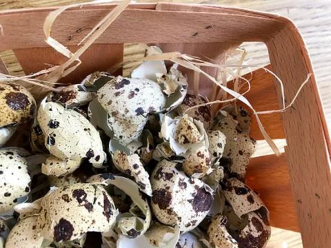 Background - the shell of quail eggs. Stock Photos