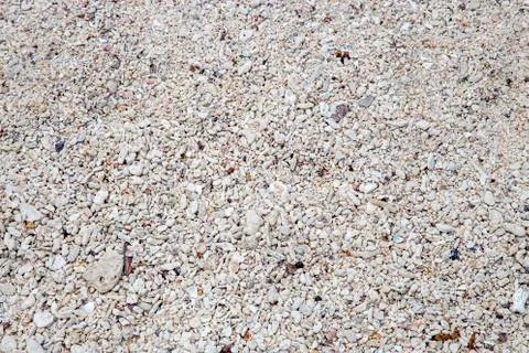 Background of shells, rocks and coral Stock Photos