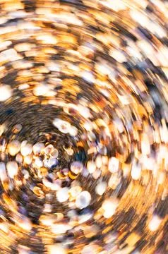 A background of shells on a seashell beach. A Stock Photos