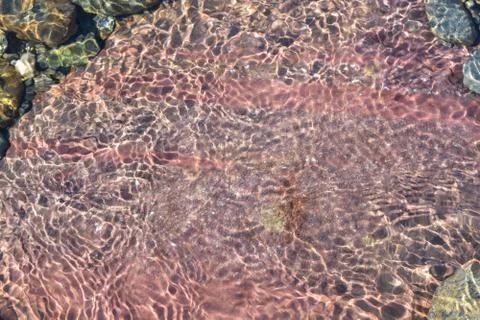 Background of shiny pebbles on the river bottom. Stock Photos