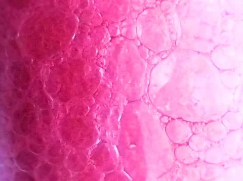 The background of the shiny red water bubbles is a gradient background Stock Photos