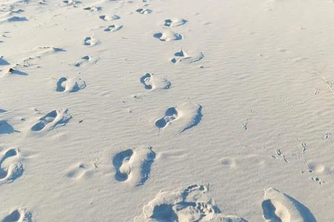 Background shot of footprints in pristine, wind blown white beach sand Stock Photos