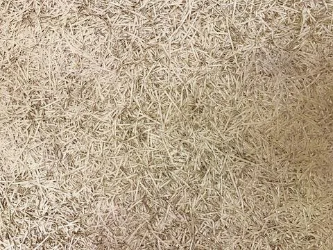 Background of shredded paper strip Stock Photos