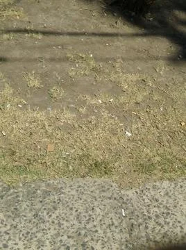 Background of a sidewalk with different city elements in daylight Fotos Stock