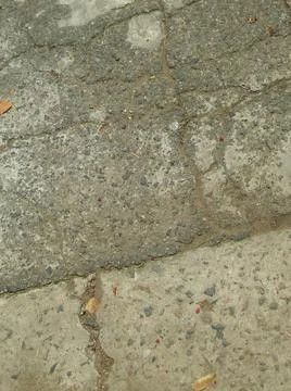 Background of a sidewalk with different city elements in daylight Fotos Stock