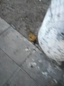 Background of a sidewalk with different city elements in daylight Fotos Stock