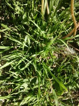 Background of a sidewalk with different city elements in daylight Fotos Stock