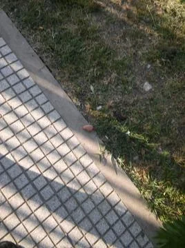 Background of a sidewalk with different city elements in daylight Fotos Stock