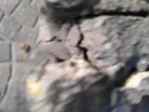 Background of a sidewalk with different elements Fotos Stock