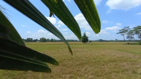 Background of sightseeing on holiday enjoying the view of the clear blue sky, va Stock Footage 200833483