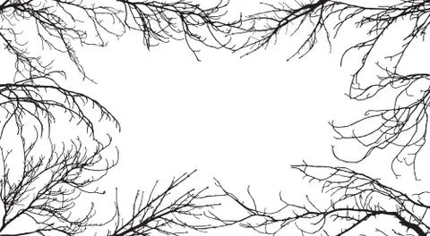 Background of silhouettes of branches of different trees. In the center is sp Stock Illustration