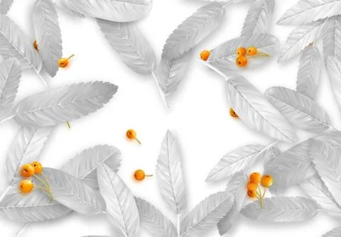 Background with silver leaves and realistic rowan berries. Fall Foliage 스톡 일러스트