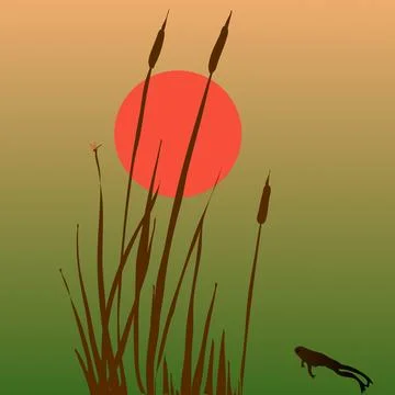 Background of simple nature elements sun reed frog Stock Illustration