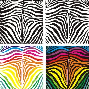 Background skin zebra 스톡 일러스트