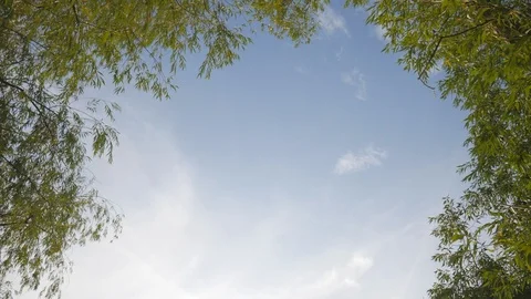 Background of sky and foliage on the sides of a summer sunny day Stock Footage 119283049