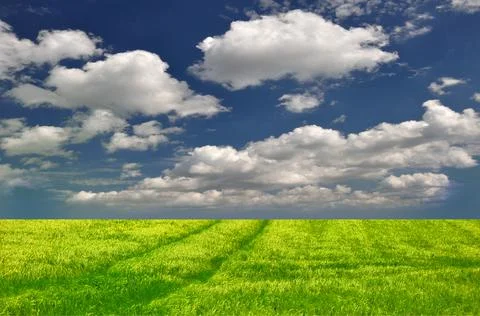 Background Of Sky And Grass Stock Photos
