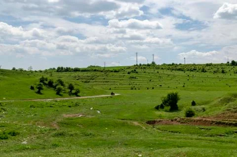 Background of sky, clouds and field with grass, trees, milch-cow Stock Photos