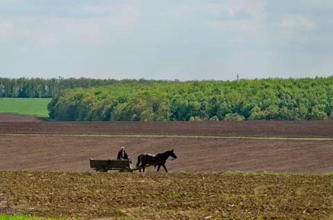 Background of sky, clouds, field  and cart Stock Photos