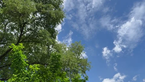 Background of the sky on a sunny day with the wind blowing. Stock Footage 277314048