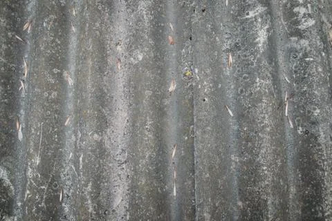 Background of slate with leaves Stock Photos