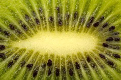 Background of the slice kiwi Stock Photos