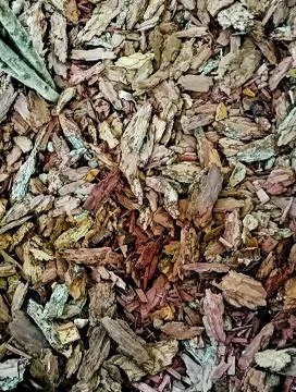 Background slivers bark bright Stock Photos