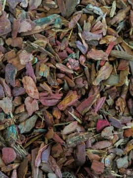 Background slivers bark varied Stock Photos