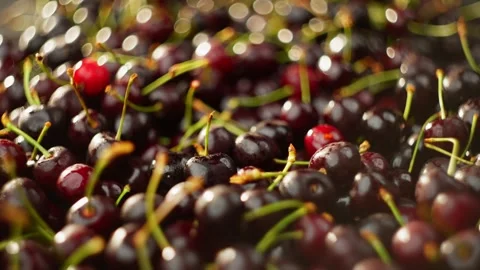Background slow motion video of cherry berries falling on a cone. Stock Footage 278001409
