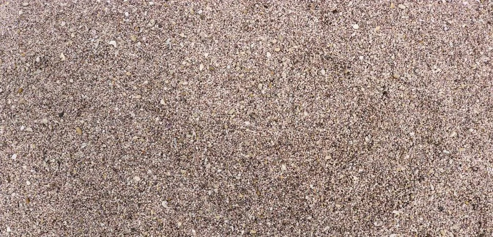 Background of small pinkish shells, texture for design. Stock Photos